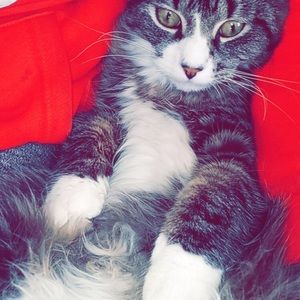 Meet your Posher, Jayden